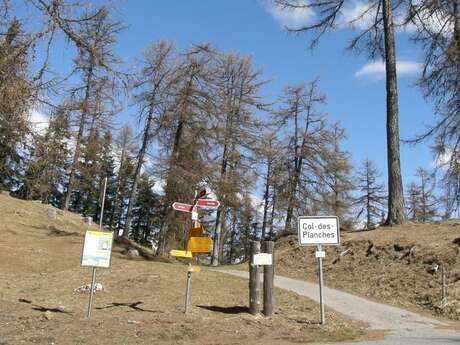 Col des Planches Bike Col des Planches Bike