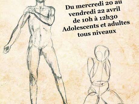 Stages de peinture et dessin