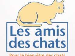 Les Amis des chats Les Amis des chats