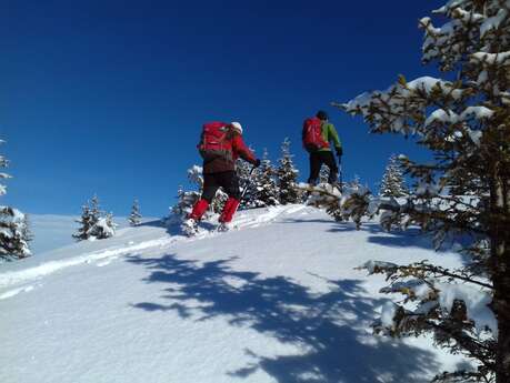 Itinéraire de ski de randonnée Prérond - Les Plagnes Itinéraire de ski de randonnée Prérond - Les Plagnes