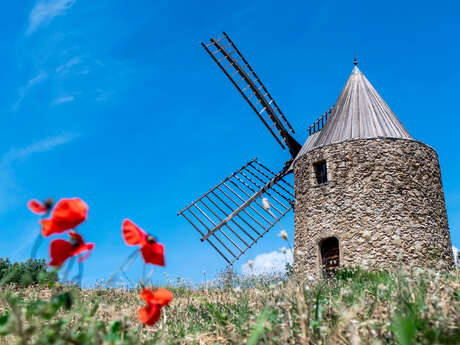 Moulin Saint-Roch Moulin Saint-Roch