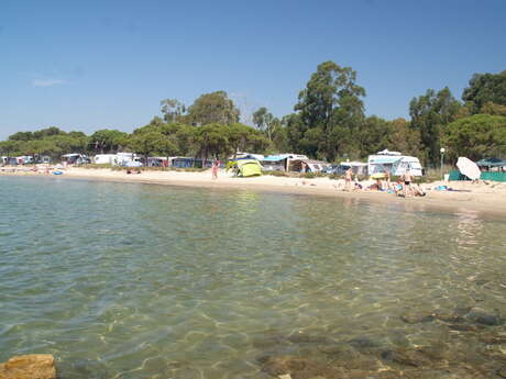 Plage du Pansard Plage du Pansard