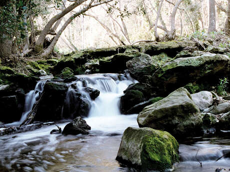 Aire de pique-nique de La Brague Aire de pique-nique de La Brague