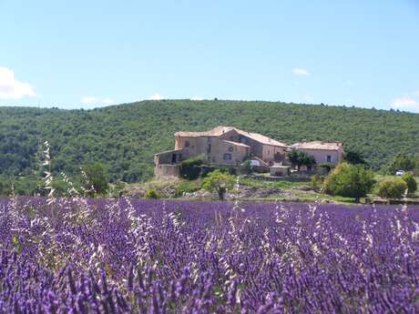 Village d'Ongles Village d'Ongles