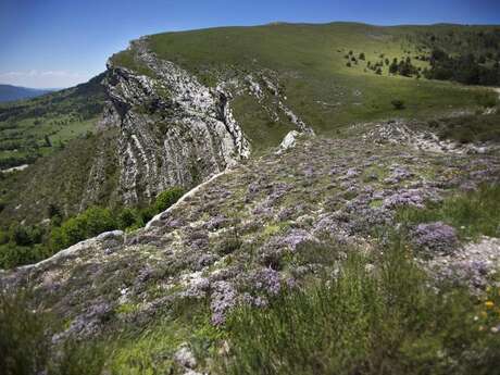 Réserve naturelle géologique de Haute-Provence Réserve naturelle géologique de Haute-Provence