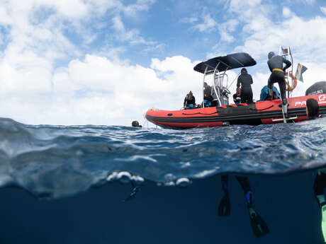 Sortie 2 plongées - Bourail Aquadiving Sortie 2 plongées - Bourail Aquadiving