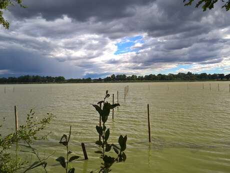 Etang du Grand Birieux, ENS de l'Ain Etang du Grand Birieux, ENS de l'Ain