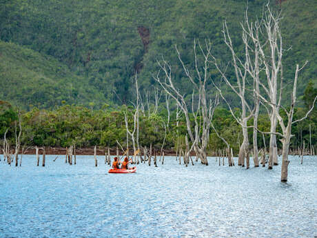 Grande traversée de la forêt noyée en kayak - Sud Loisirs Grande traversée de la forêt noyée en kayak - Sud Loisirs