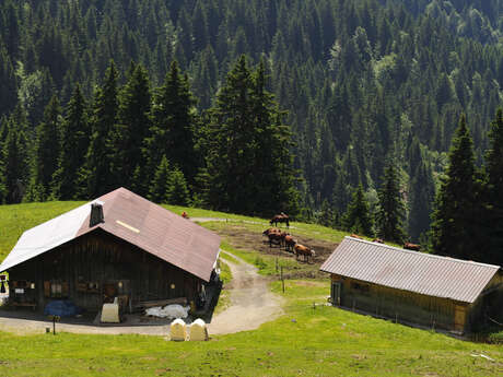 Refuge du Plan de l'Aar Refuge du Plan de l'Aar