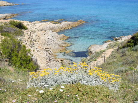 "Plage de l'Escalet -Isthme du Cap Taillat" - (circuit E) - Sentier du littoral - Ramatuelle "Plage de l'Escalet -Isthme du Cap Taillat" - (circuit E) - Sentier du littoral - Ramatuelle