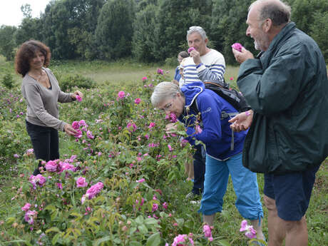 Visite passion des Jardins des Hautes Terres Visite passion des Jardins des Hautes Terres