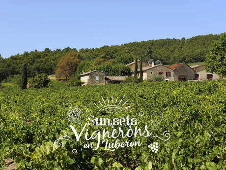 Sunsets Vignerons 2022 au Domaine de la Verrière Sunsets Vignerons 2022 au Domaine de la Verrière
