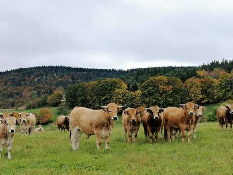 Ferme des Hautes Terres Ferme des Hautes Terres