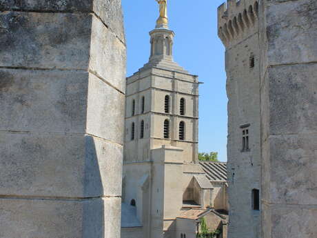 Vivez une expérience unique au Palais des Papes Vivez une expérience unique au Palais des Papes
