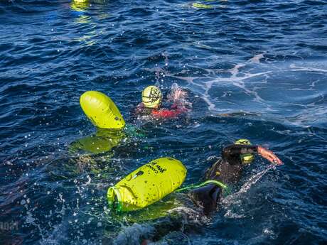 Nage en eau libre