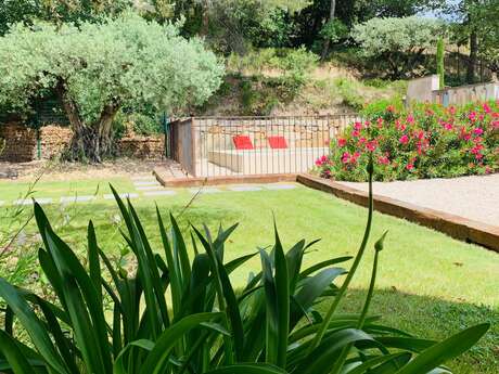 Le Clos des Oliviers - Marguerite Le Clos des Oliviers - Marguerite
