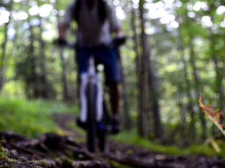 Chemins du Soleil - La traversée de la Chartreuse à VTT Chemins du Soleil - La traversée de la Chartreuse à VTT
