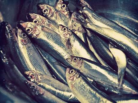 Marché aux poissons Marché aux poissons