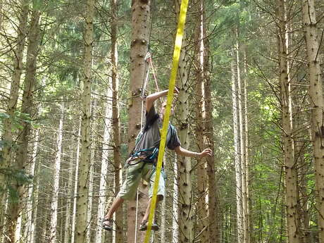 Tree-top adventure trail and archery game Tree-top adventure trail and archery game