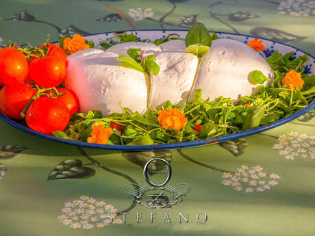 Stefano Forever - Restaurant Arts-Music & Entertainment & snack Stefano Forever - Restaurant Arts-Music & Entertainment & snack