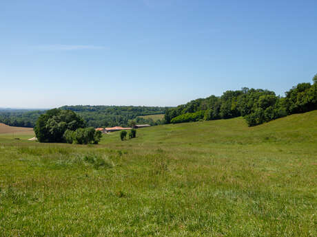 Sentier pédestre : de l'Ain au Plateau Sentier pédestre : de l'Ain au Plateau