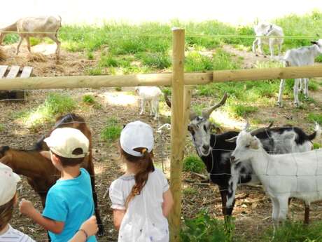 A la découverte de la ferme A la découverte de la ferme