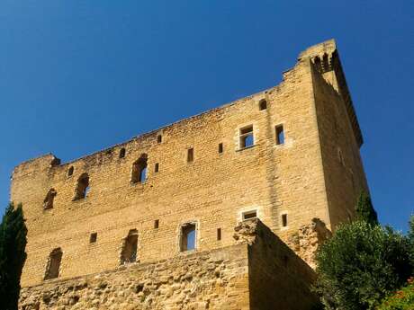 Château des Papes Château des Papes