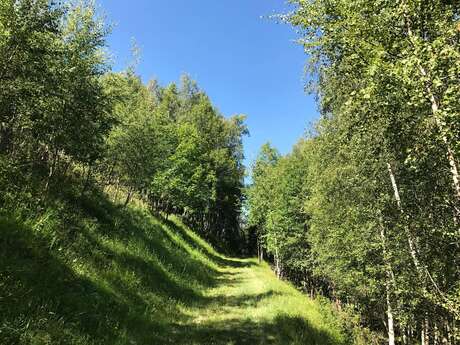 Enduro MTB – La Molière Enduro MTB – La Molière