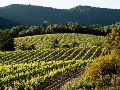 Domaine Val d'Astier Domaine Val d'Astier
