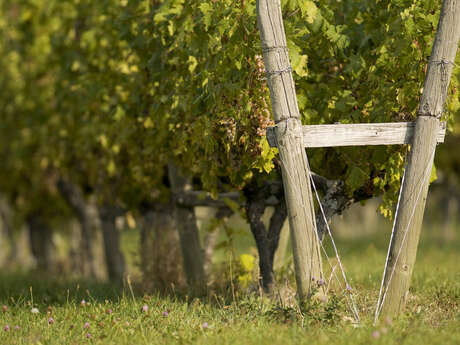 Domaine Dupraz Domaine Dupraz