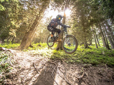 mountain bike downhill area mountain bike downhill area