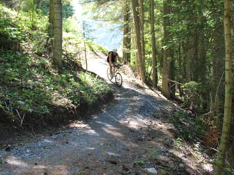 42- Enduro - Bleu - Easy Rider 42- Enduro - Bleu - Easy Rider