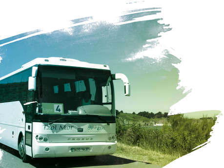 Belle-île Bus
