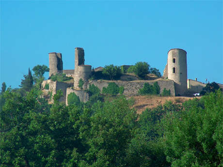 Château de Pontevès