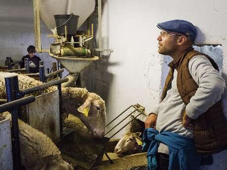 Ferme d'Alcas - visite libre