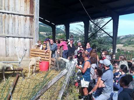 Ferme de Pinet, visite d'un élevage de brebis en agroécologie