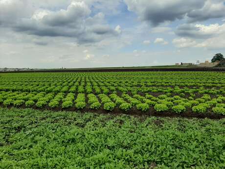 Les multiples facettes de la plaine de Montesson