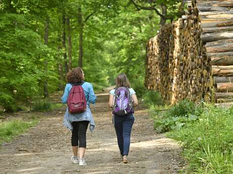 Rando futée : les fondamentaux pour marcher serein