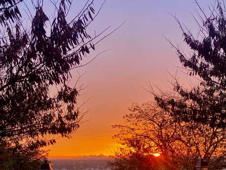 Dîner conférence au Pavillon Henri IV - Les Impressionnistes