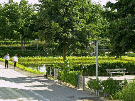 Water gardens