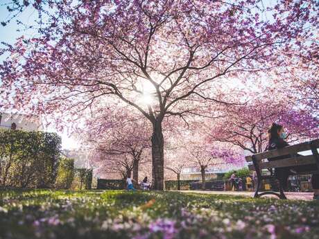 Jardin Paul Verlaine