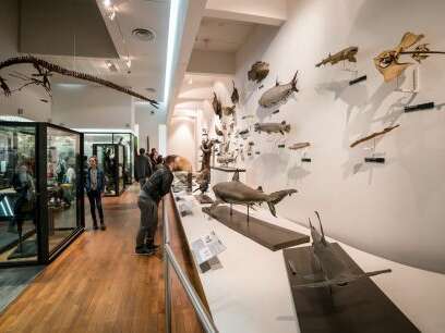 MUSÉUM-AQUARIUM DE NANCY