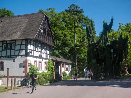 PARK SAINTE MARIE