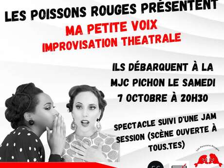 SPECTACLE - MA PETITE VOIX