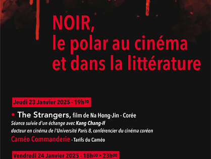 FESTIVAL - FEUX CROISÉS - NOIR, LE POLAR AU CINÉMA... Le 24 janv 2025