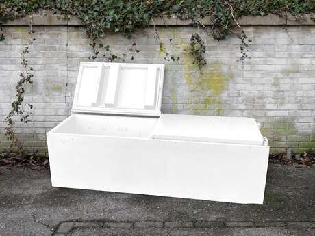 Exposition - Freeze - RUN 2025