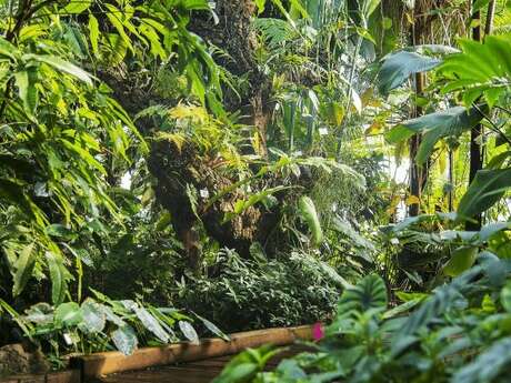 Diner Nomade - Serres Tropicales Jean Marie Pelt - Bienvenue sous les Tropiques
