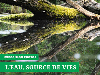 Exposition - L'eau - Sources de Vie