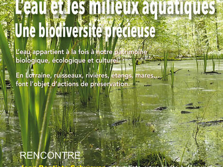Conférence - L'Œuvre Émoi 31 - L’Eau et les Milieux Aquatiques - Une Biodiversité Précieuse