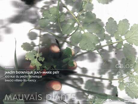 Mauvais Plants